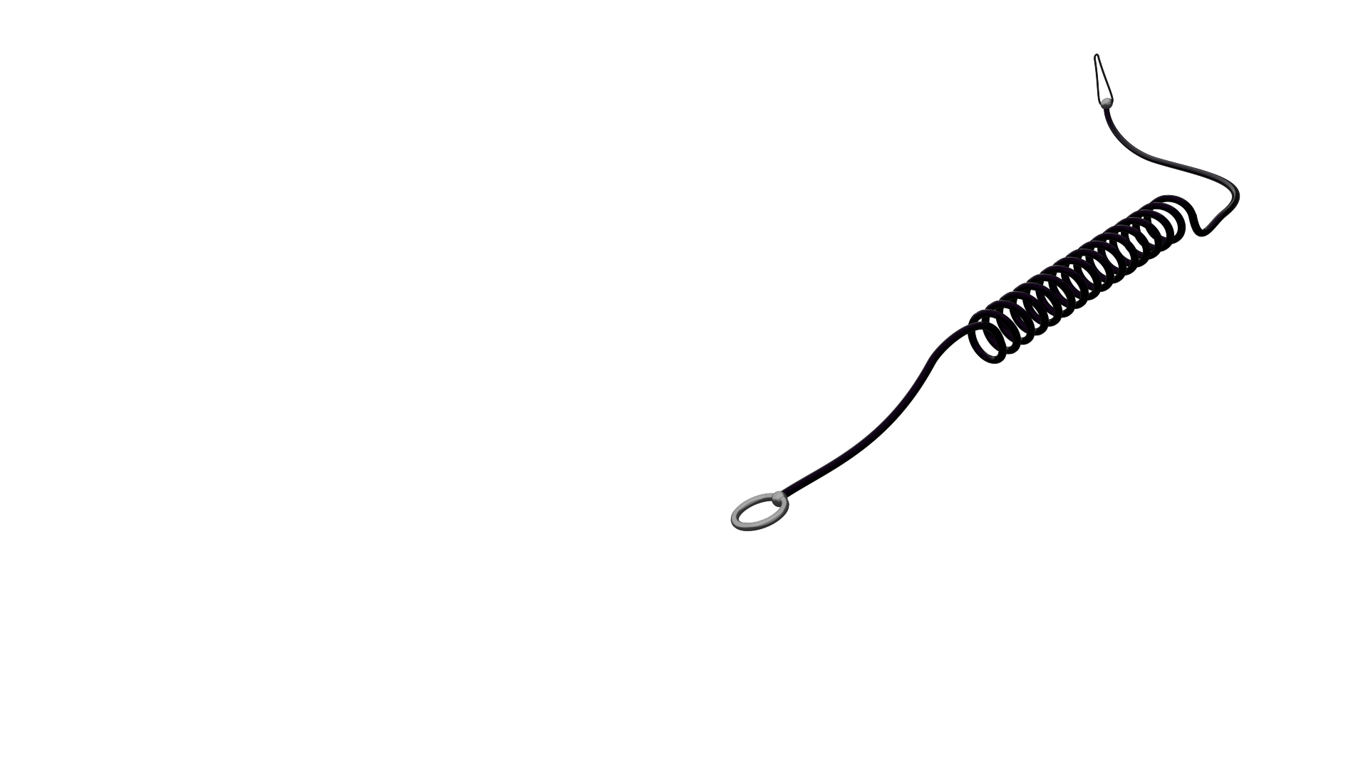 Leash